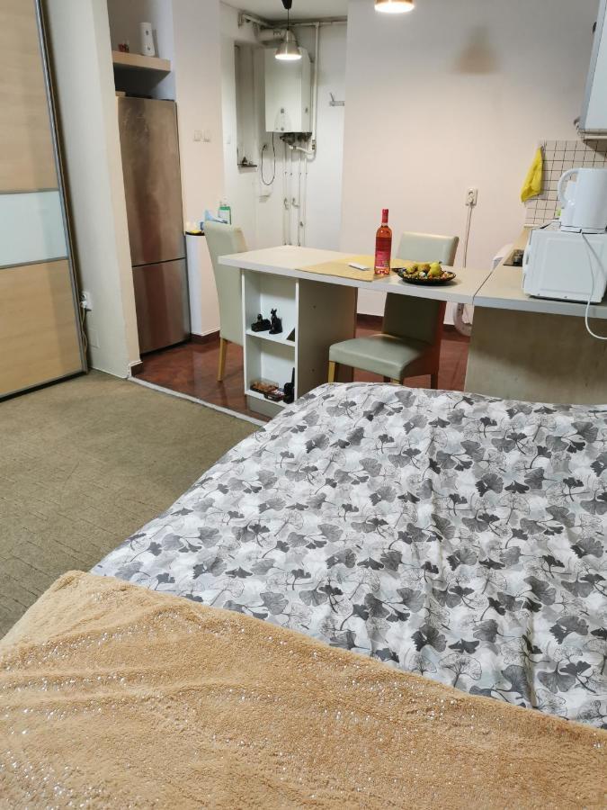 Ultracentral Cluj Napoca,Balcony,Fast Wifi,Parking Экстерьер фото